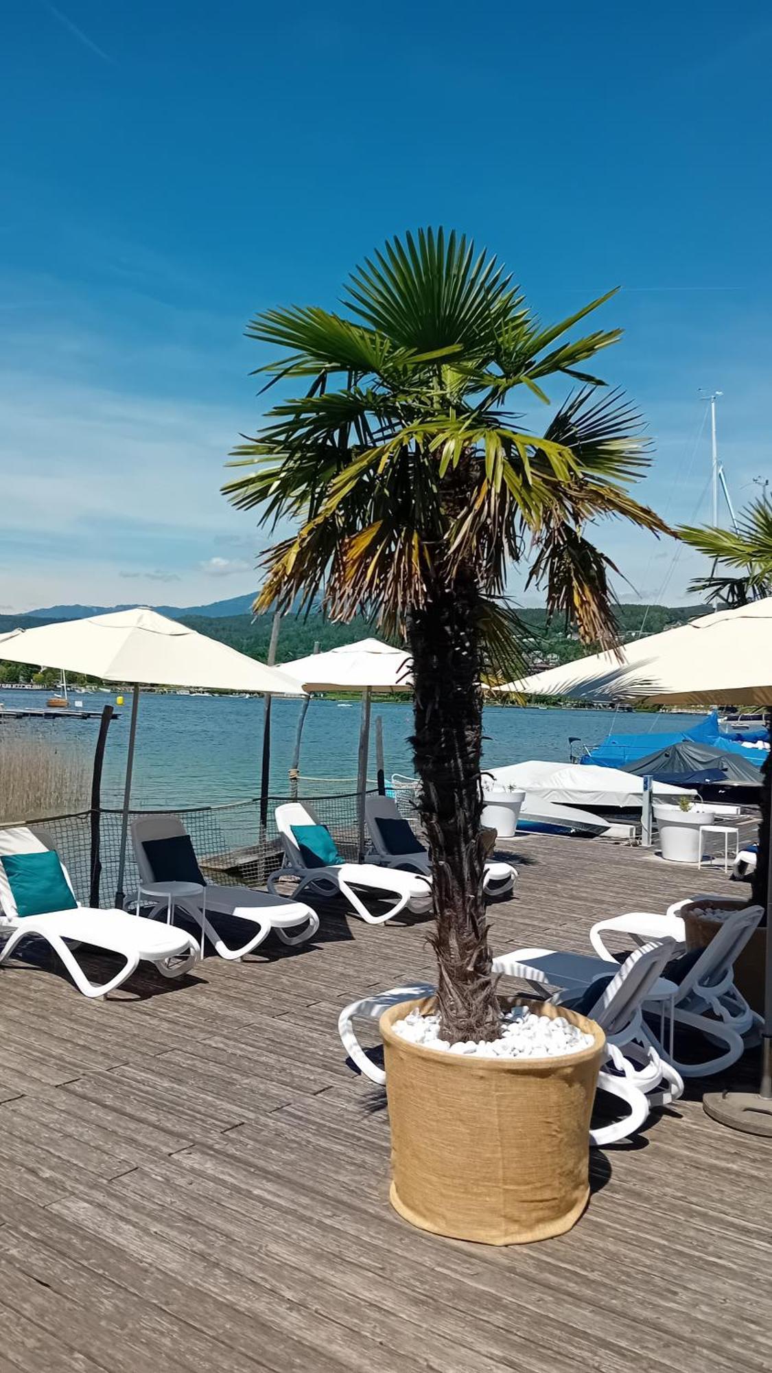Tennis & Yacht Hotel Velden เวลเดน อัม เวิร์ทเทอร์ซี ภายนอก รูปภาพ